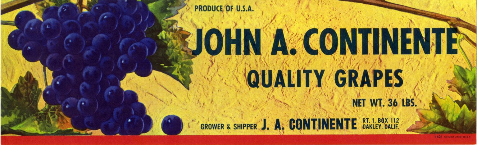 John A. Continente